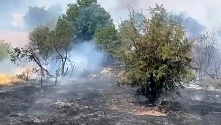 Doğanyol'da Orman Yangını: Yalınca Mevkiinde Alevler Yükseldi