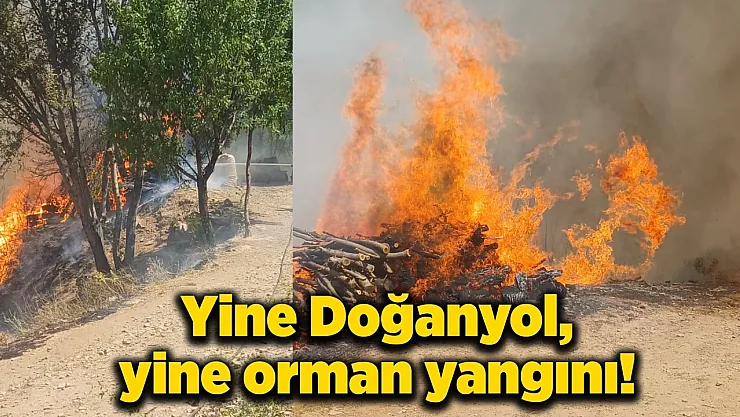 Doğanyol'da orman yangını! Yerleşim yerlerine yaklaştı!