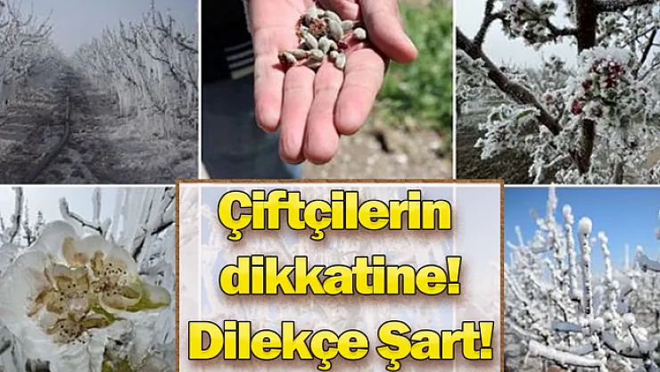 Dondan etkilenen çiftçilerin dikkatine! İşte izlenecek yol...