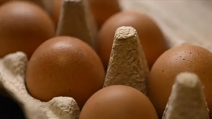 Dünya Yumurta Günü'nde Sağlıklı Beslenmenin Anahtarı: Yumurta
