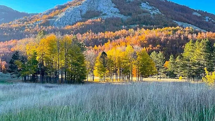 Dünyanın Doğaya En Bağlı Ülkeleri Açıklandı