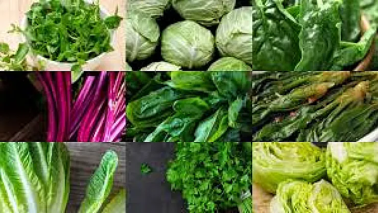 Dünyanın En Sağlıklı Sebzesi Açıklandı: 100 Üzerinden 100 Puanla 'Tere' Zirvede