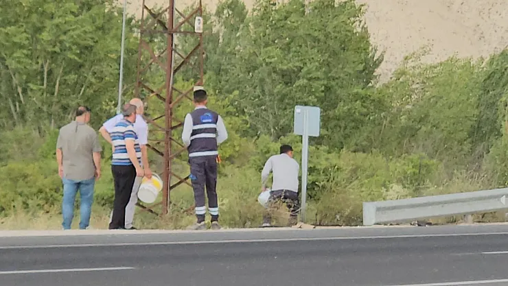 Duyarlı vatandaşlar yangın faciasının önüne geçti