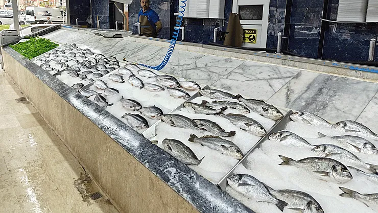 Ege Denizi'nde Balıkçılar Umduğunu Buldu: Hamsi ve Sardalya Bolluğu Fiyatları Yarıya Düşürdü