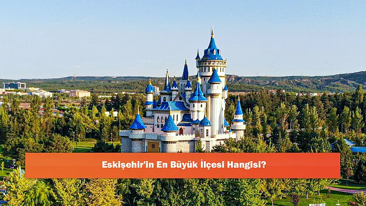 Eskişehir'in En Büyük İlçesi Hangisi?