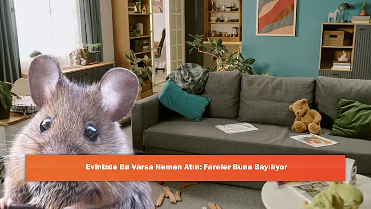 Evinizde Bu Varsa Hemen Atın: Fareler Buna Bayılıyor
