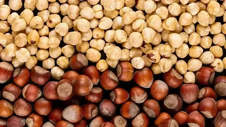 Fındık Altınla Yarışıyor: Kilosu 2 Bin TL'yi Aştı