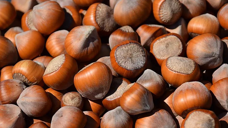 Fındık İhracatın Lideri Oldu: Ayçiçeği ve Buğdayı Geri Bıraktı