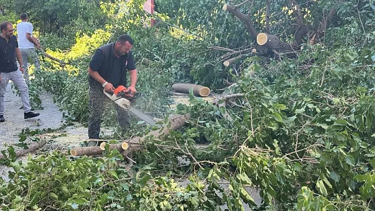 Fırtına Malatya'da yine zarar verdi