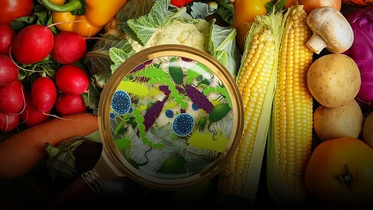 Gıda Zehirlenmesine Karşı Bakanlıktan Uyarı: 'En Etkili Koruma Yeterli Pişirme!'