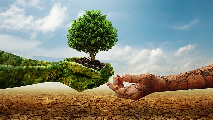 Gıdada İklim Riski Büyüyor