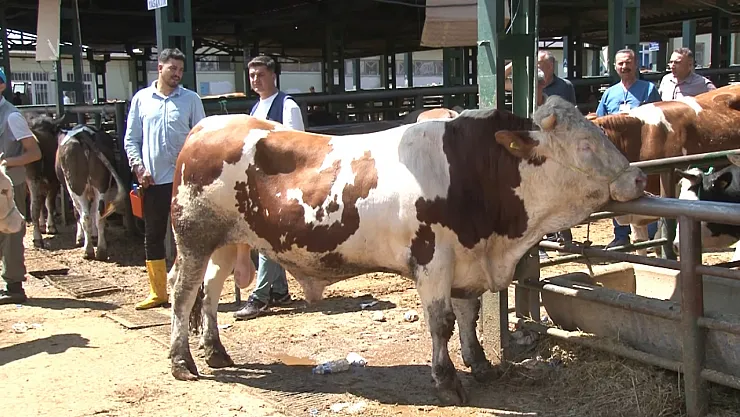 Hayvan Pazarı'nda bayram yoğunluğu