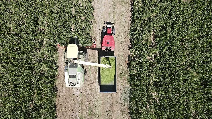 Hayvancılığa Güç, Çiftçiye Kazanç Sağlıyor