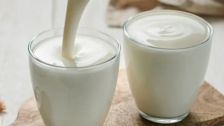 İngiltere'de Kefir Üzerine Yapılan Araştırma Sağlık Dünyasında Dikkat Çekti