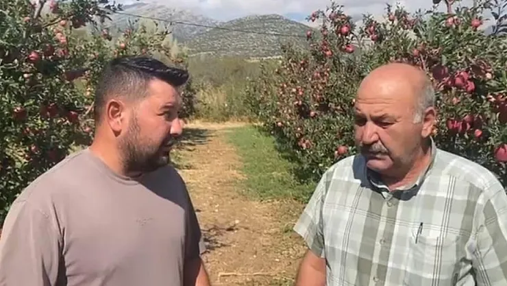 Isparta'da Dolu Felaketi: Elma Bahçelerinde Yüzde 70'e Varan Zarar