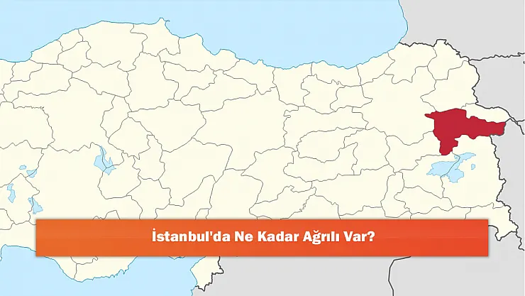 İstanbul'da Ne Kadar Ağrılı Var?