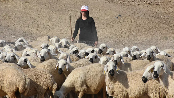 Kadın Besici İle Yazıhan'da Hayvancılık Yükseliyor