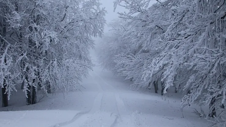 Kafkasya'dan Gelen Soğuk Dalga Kar Getiriyor