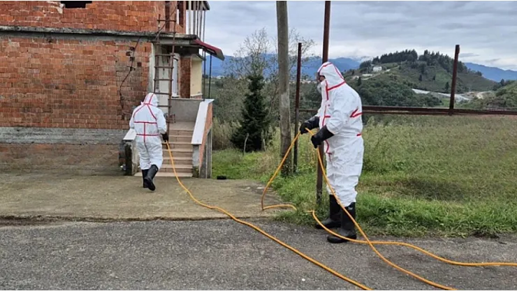 Kahverengi Kokarca ile Mücadelede 1 Milyon Hane İlaçlandı