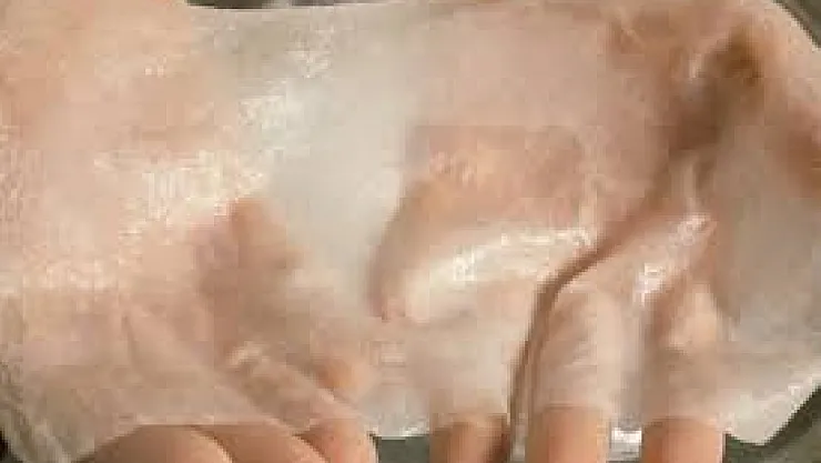 Kan Dolaşımına Sahip Yapay Deri Üretildi