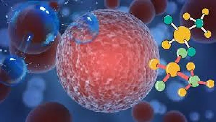 Kanserle Savaşta Tarihi Dönemeç: Dünya Ölüm Oranlarını İlk Kez Bu Kadar Hızlı Düşürüyor