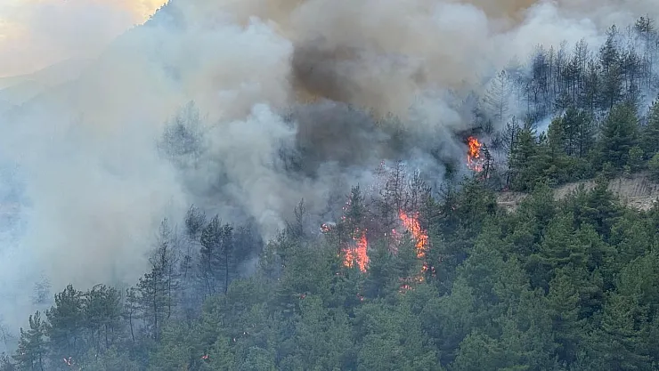 Karabük Yeşilköy'de Orman Yangını Kabusu: Köy Tahliye Edildi, Alevlerle Mücadele Sürüyor
