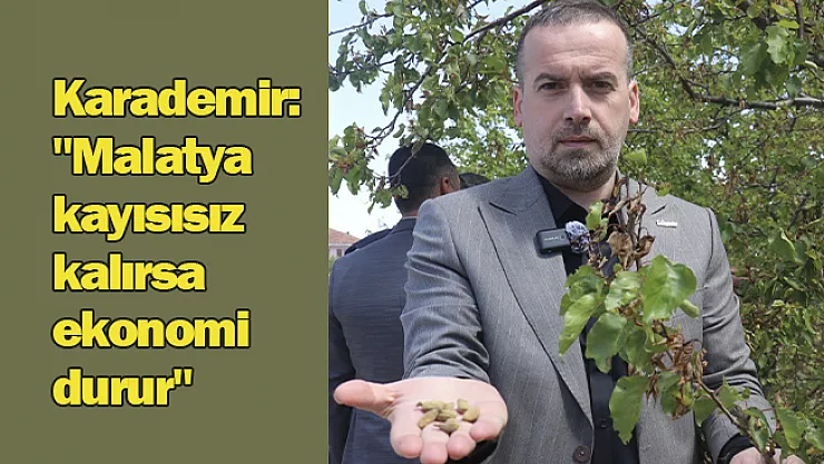 Karademir:  'Malatya  kayısısız  kalırsa  ekonomi  durur'