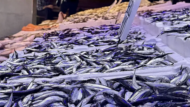 Karadeniz'de Hamsi Bereketi: Tezgâhlar Dolup Taşıyor!'