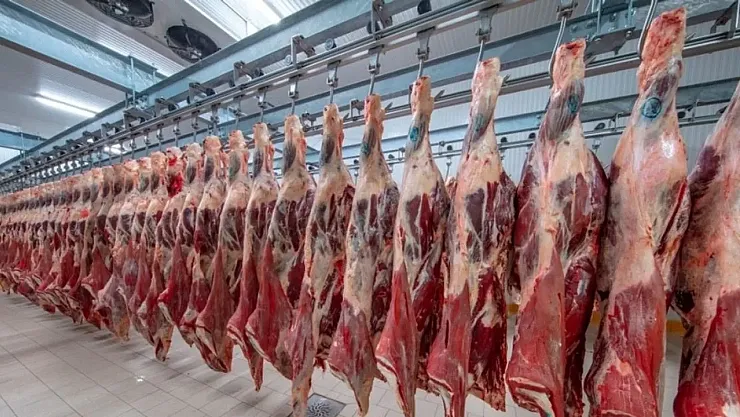 Karkas Et Fiyatlarında Beklenmedik Düşüş: ESK'nın İthalatı Piyasayı Yeniden Şekillendirdi