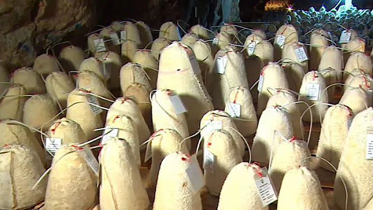 Kilosu 1000 TL'yi Buluyor! Turistlerin Kapış Kapış Aldığı Şifalı Peynirler: Damarları Temizliyor, Kalsiyumu Zirveye Taşıyor