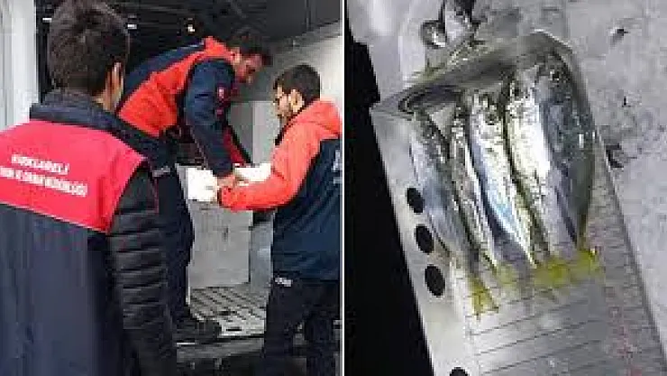 Kırklareli İğneada'da 3 Ton Kaçak İstavrite El Konuldu!