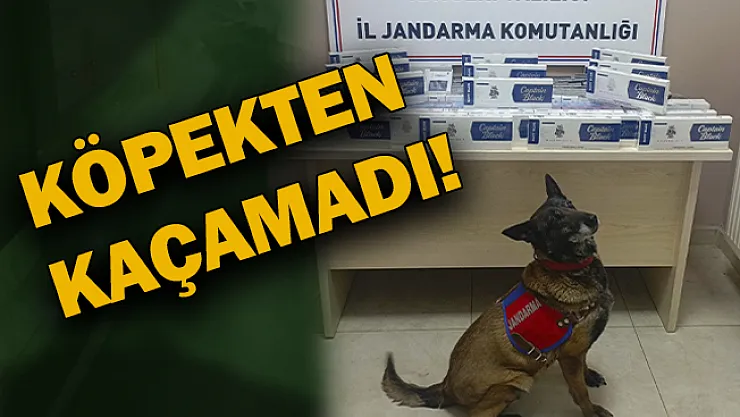 Köpekten kaçamadı!
