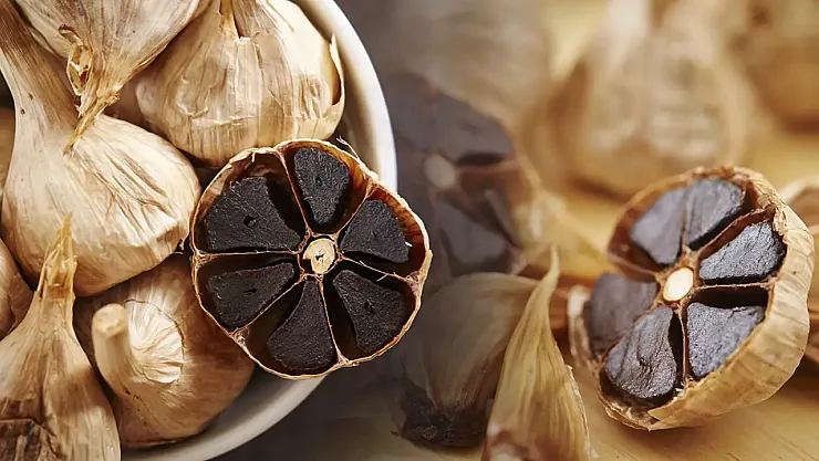 Kore'de Gördü, Taşköprü'de Üretime Başladı: Siyah Sarımsak İlaç Hammaddesi Olma Yolunda