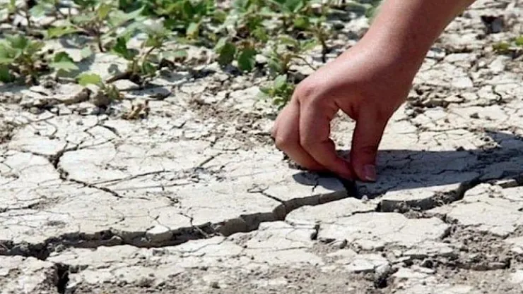 Kuraklık Alarmı! Malatya'da Üretim Riskte