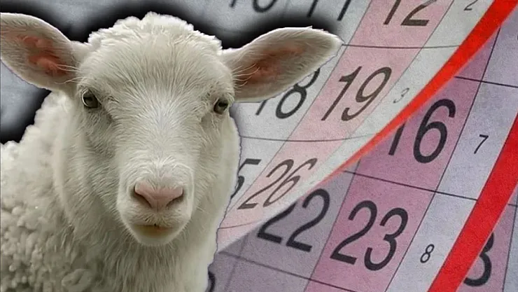 Kurban Bayramı tatili netleşti: Bayram tatili 9 güne uzatıldı mı?