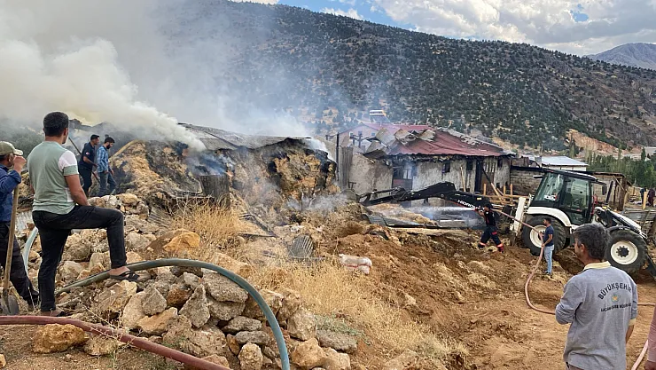 Malatya'da alevler ahırı sardı: 10 Kayıp