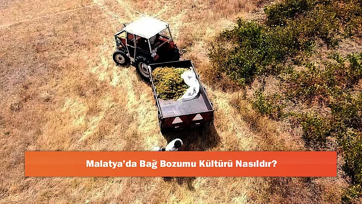 Malatya'da Bağ Bozumu Kültürü Nasıldır?
