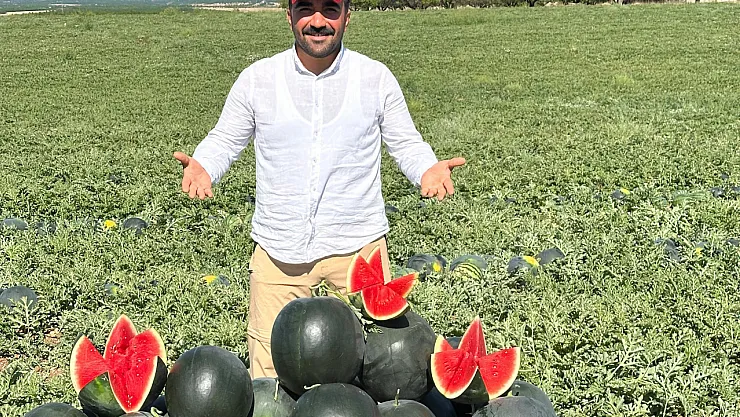 Malatya'da bu yıl umut kavun karpuzda