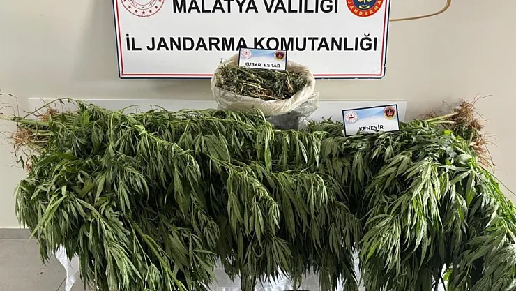 Malatya'da jandarmadan uyuşturucu operasyonu