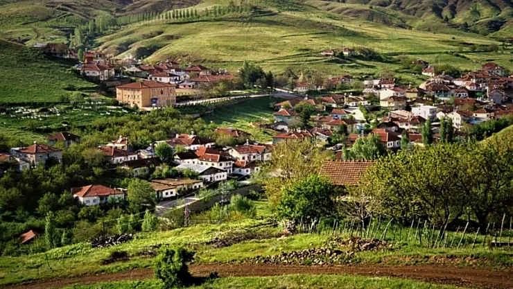 Malatya'da kaç Alevi köyü var?
