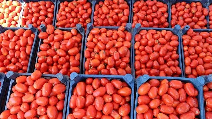 Malatya'da Kış Hazırlıkları Başladı