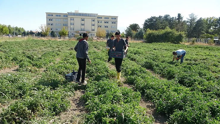 Malatya'da Meslek Lisesinden 1 Ton Salça Üretimi