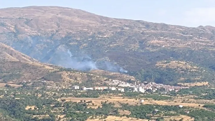 Malatya'da orman yangınına havadan müdahale