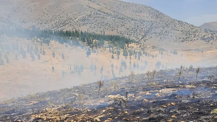 Malatya'da ormanlık alanda yangın