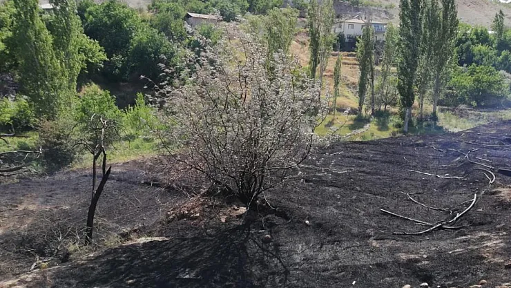 Malatya'da ot yangını
