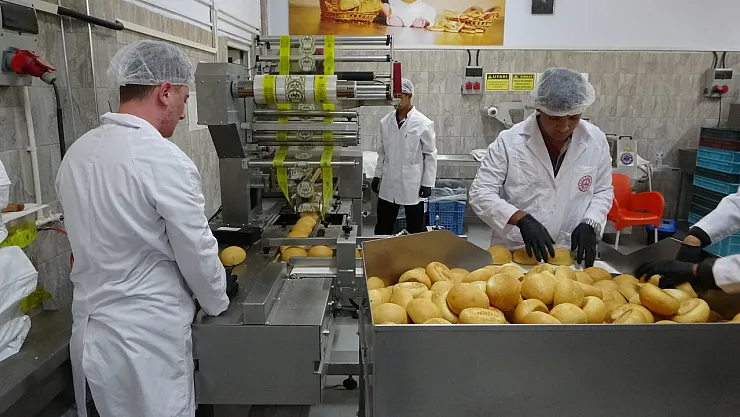 Malatya'da Tarım Lisesi Öğrencileri Üretimle Eğitimi Birleştirdi