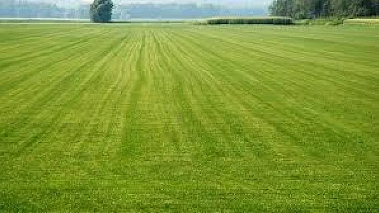 Malatya'da Toprak Sahiplerini Sarsacak Karar: 1 Eylül'de Başlıyor.