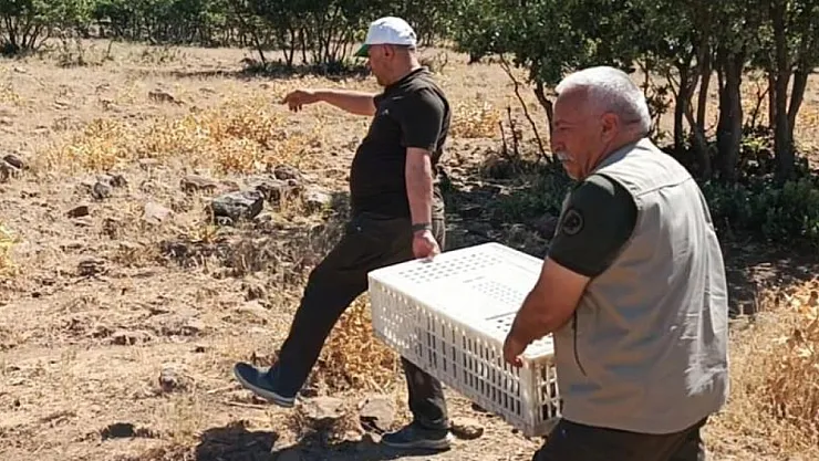 Malatya'da üretiliyor, kene ile mücadele ediyor