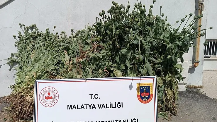 Malatya'da uyuşturucuya geçit yok