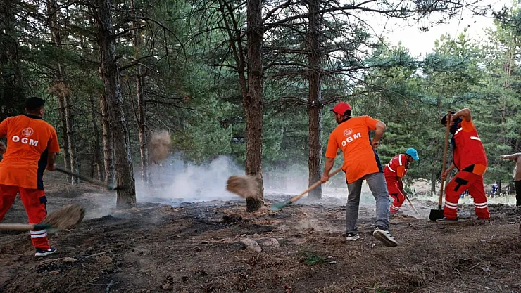 Malatya dahil 8 ilde orman yangınlarında tarihi düşüş